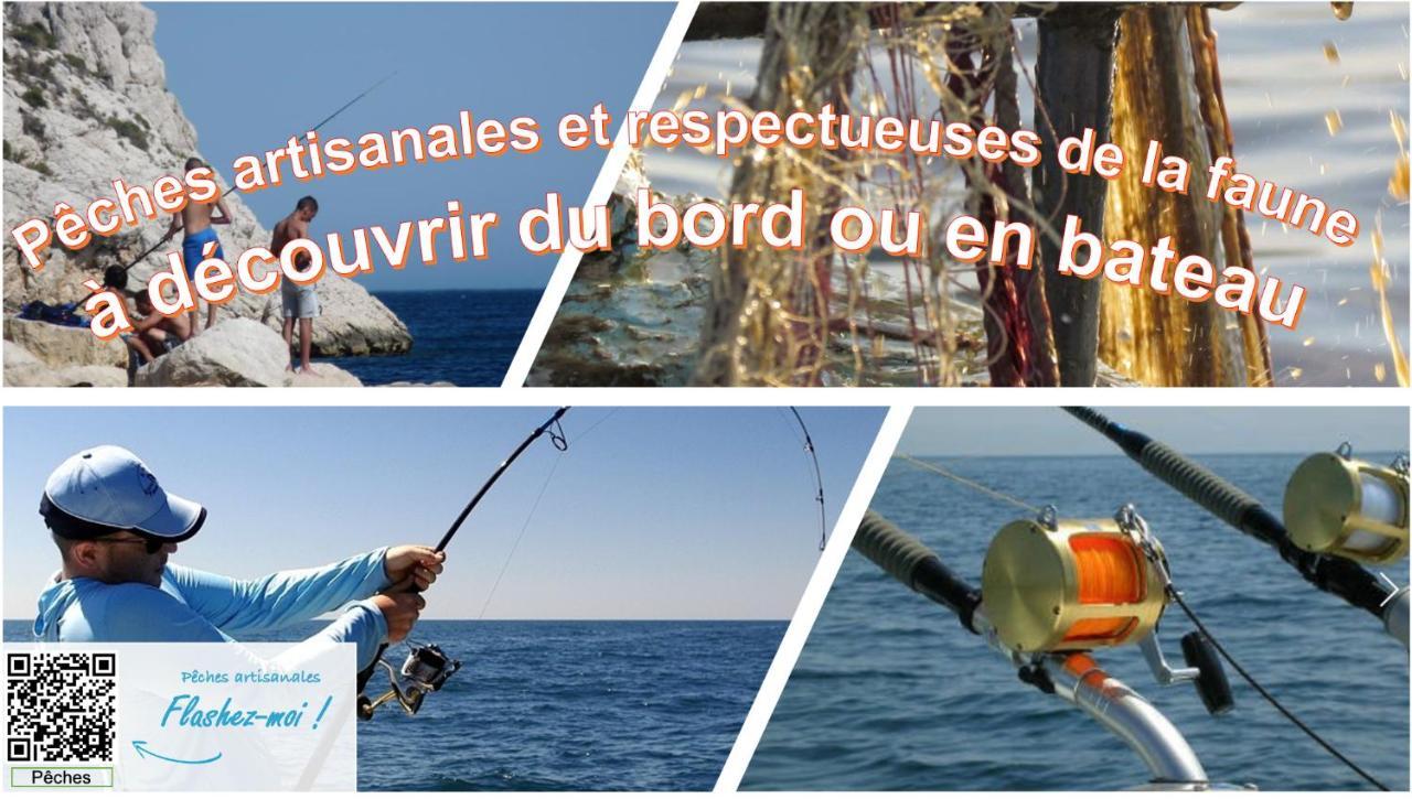 NOUVEAU Cabanon Calanque de Niolon vue mer et port Appartement